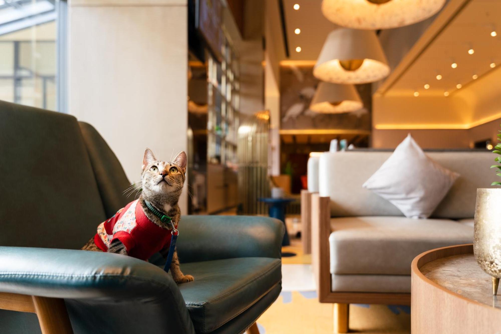 Hotel Ibis Styles Mysuru Exteriér fotografie